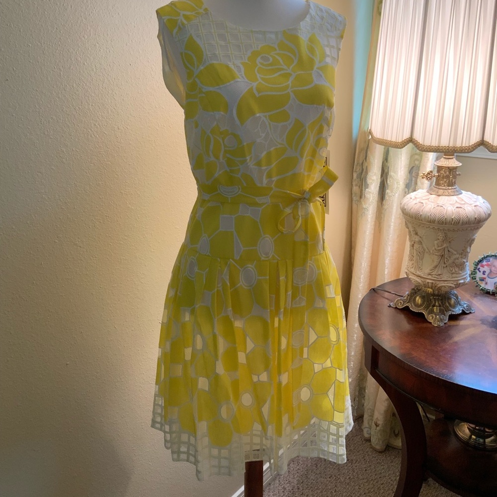 Easter , Church or High Tea Dress  NWT